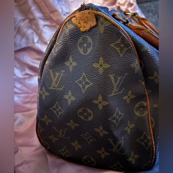 Louis Vuitton Monogram Canvas Speedy Top-Handle Bag in Brown and Tan - Picture 2 of 6